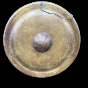 Singing Instrument